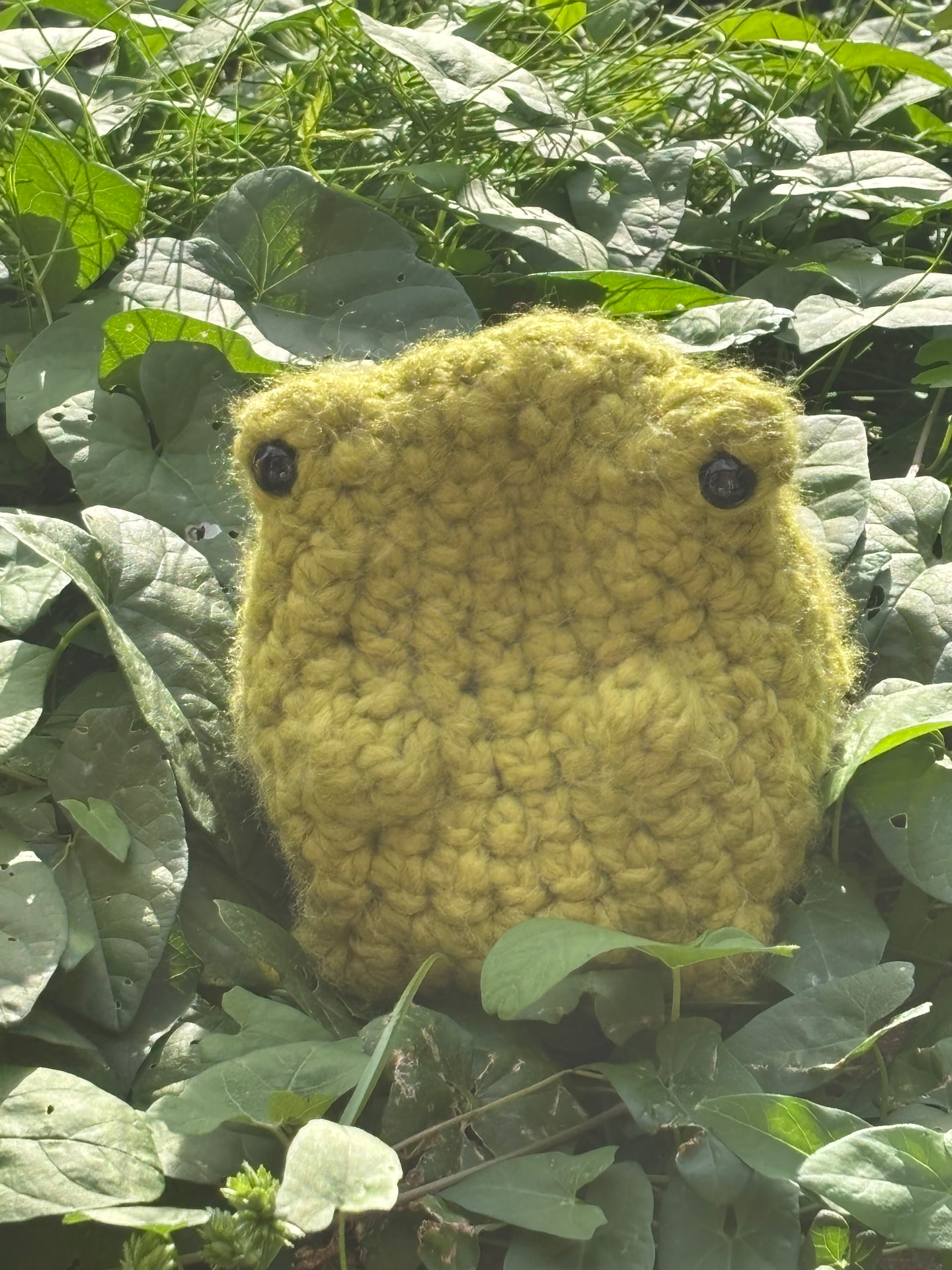 Mossy green chunky crochet frog plush sitting among green leaves